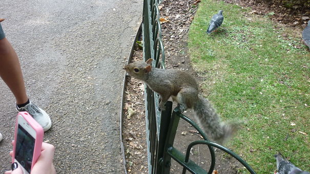 This Guy Took A Nut Off My Sister In London!!