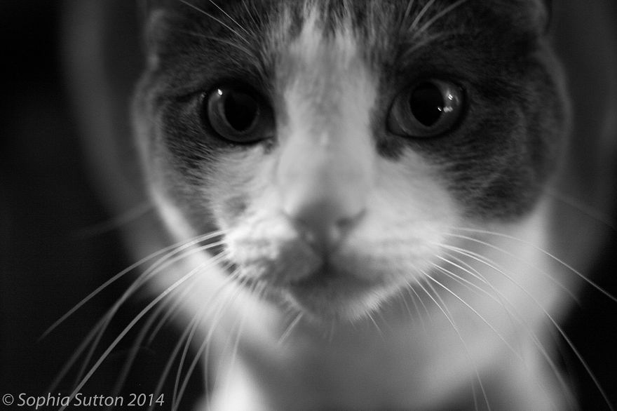 My Amateur Photography