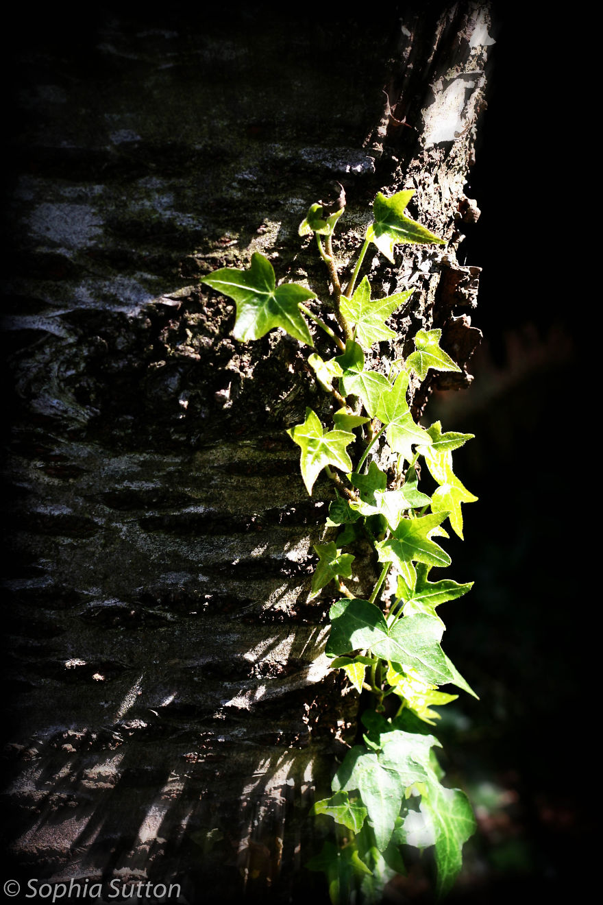 My Amateur Photography