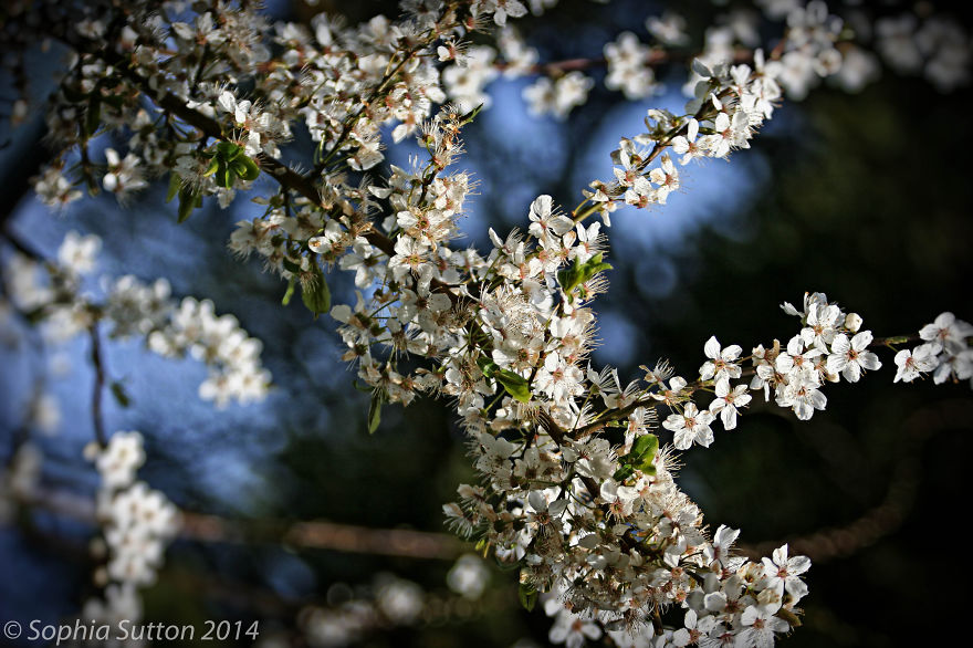 My Amateur Photography