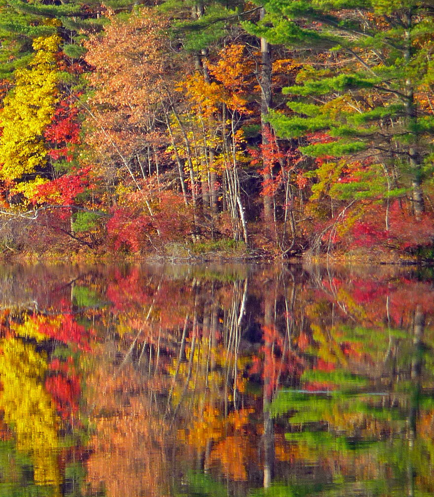 Fall Reflections 2
