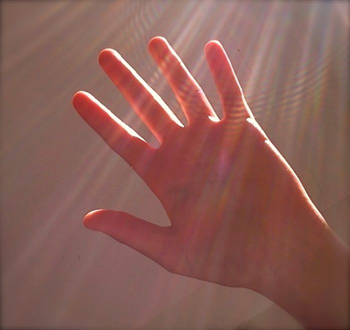 My Hand In The Sunlight