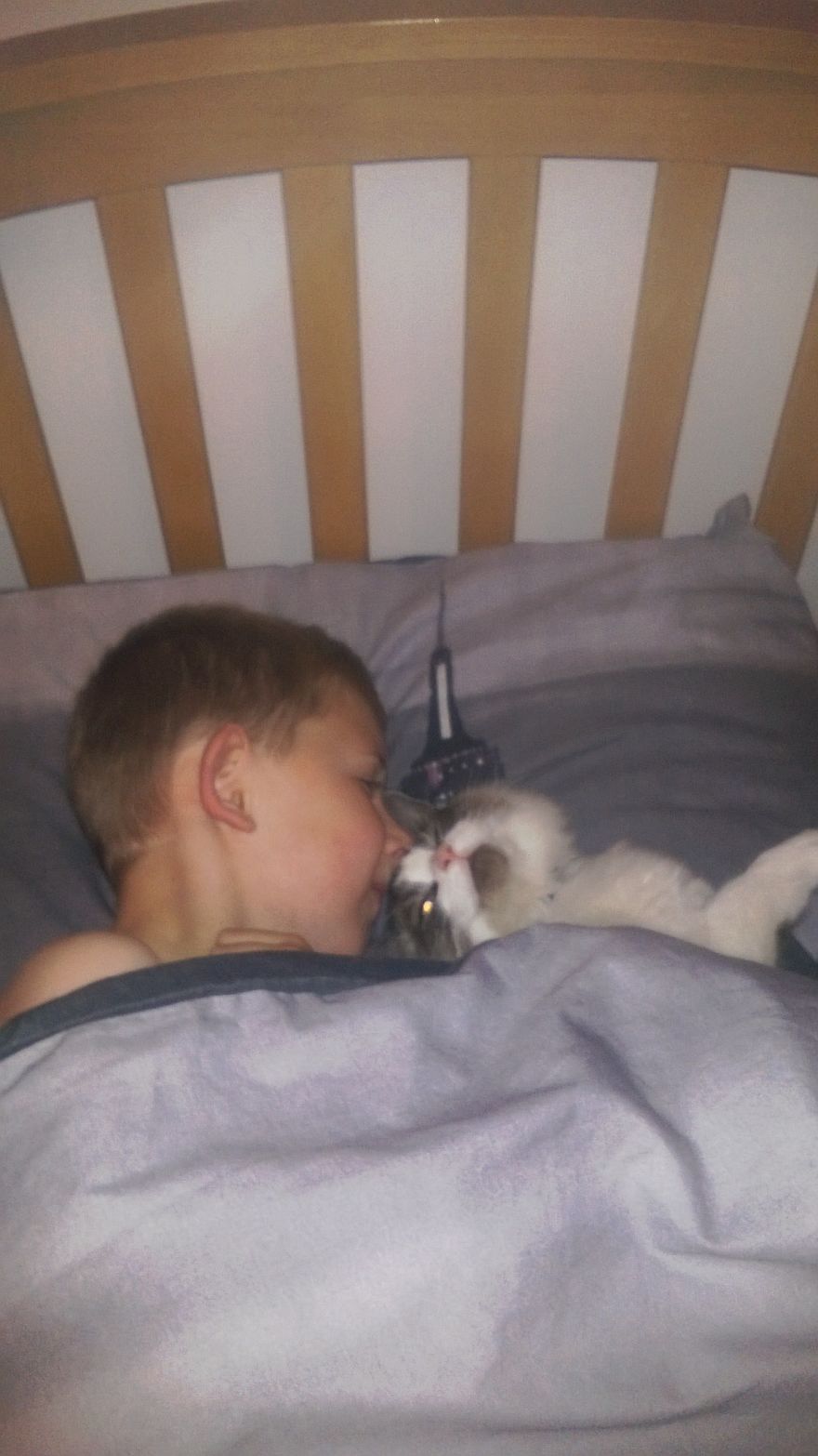 Kids And Cats, Great Combo...