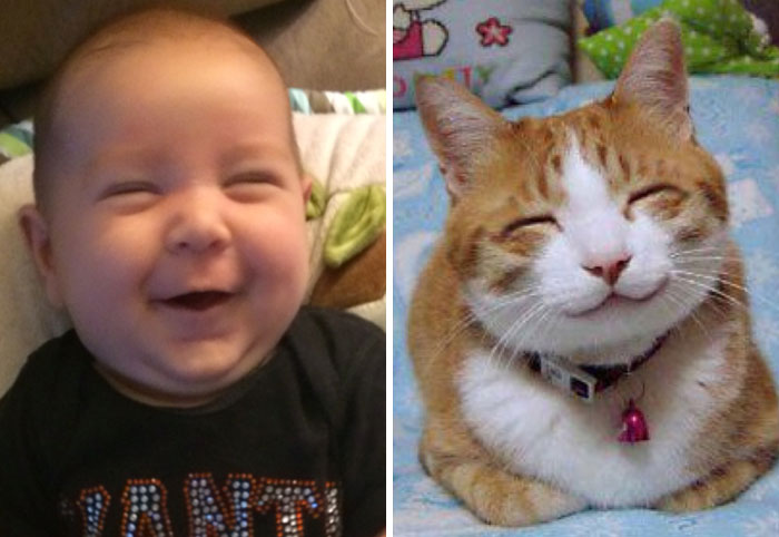 This Happy Baby Looks Just Like Happy Internet Cat!