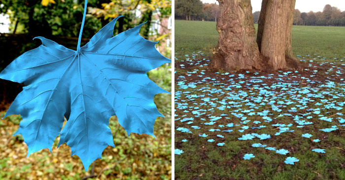Someone Painted The Leaves Of This Maple In Hamburg And It Looks Beautiful