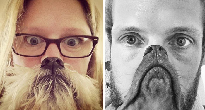 Could You Do Better Than These Dog Smile Selfies?