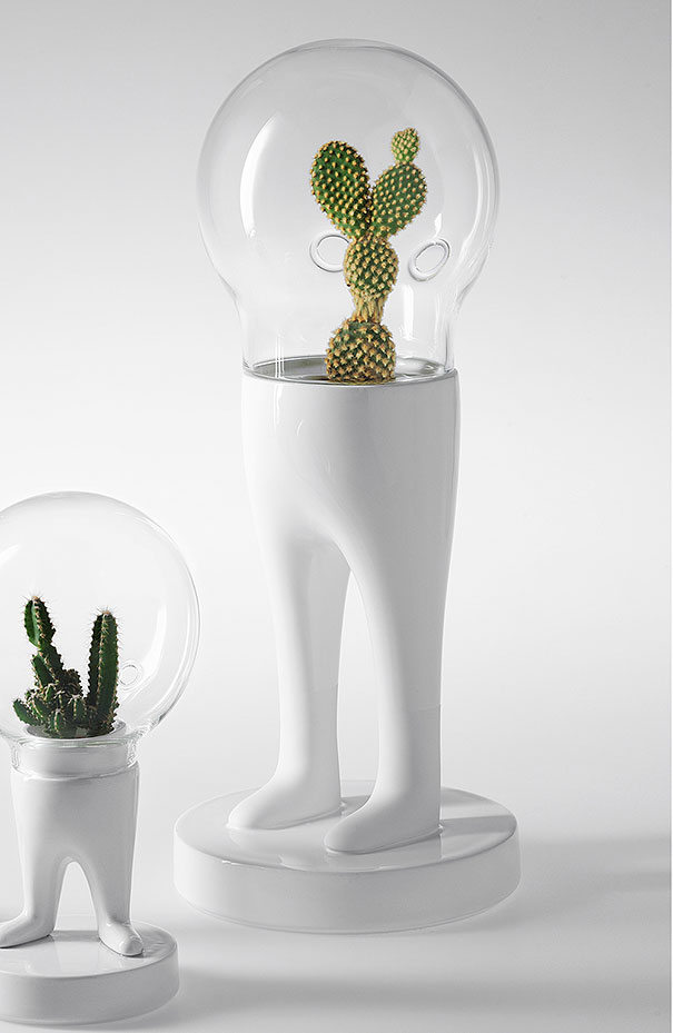 Artist's Surreal Terrariums Give Plants Legs