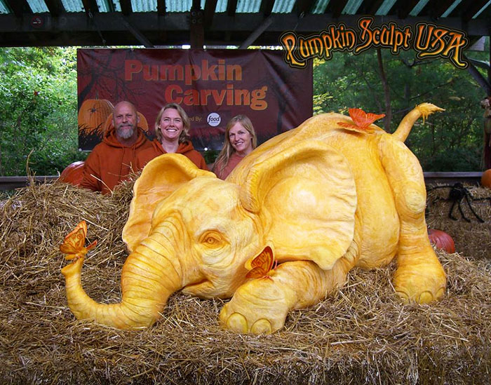900lb Pumpkin Carving Raises Awareness Of Elephant Killings