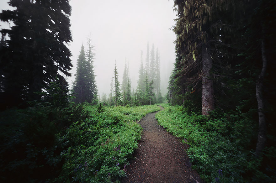 Mount Rainier, Washington, Usa
