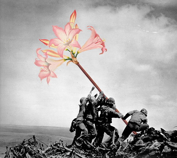 guns-flowers-vintage-photos-collage-art-blick-1