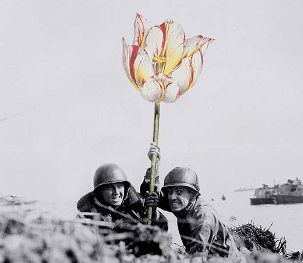 guns-flowers-vintage-photos-collage-art-blick-2