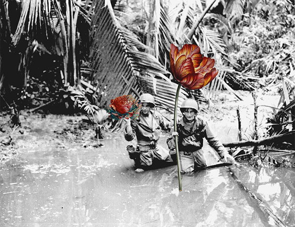 guns-flowers-vintage-photos-collage-art-blick-4