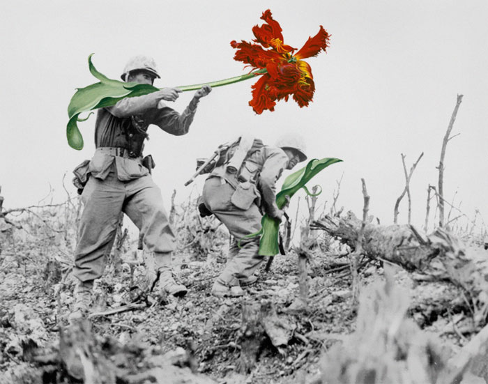 Artist Replaces Guns With Flowers In Historic Photos