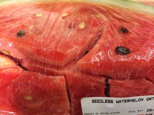 Failfruit: The Not-so-seedless Watermelon