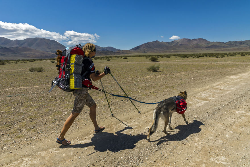 Going For A Travel? Take Your Dog With You.You Won't Regret It!