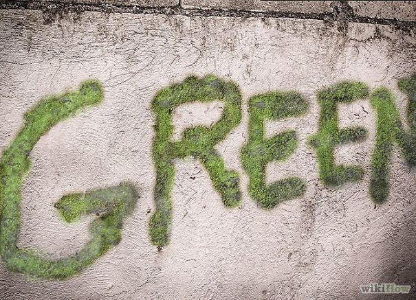 Moss Graffiti: The Coolest DIY Project Ever