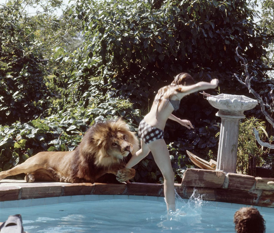 pet-lion-neil-film-michael-rougier-4