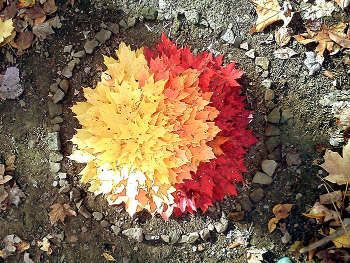 Autumn Leaf Art