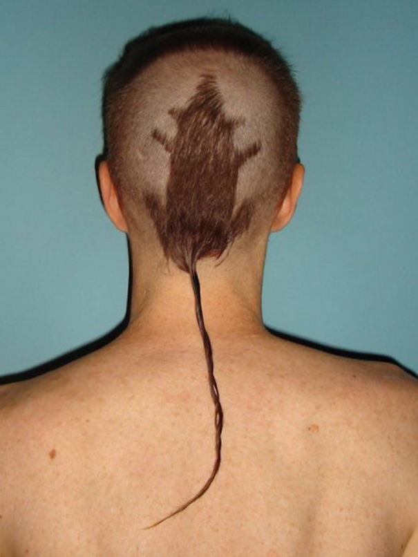 Rat Haircut