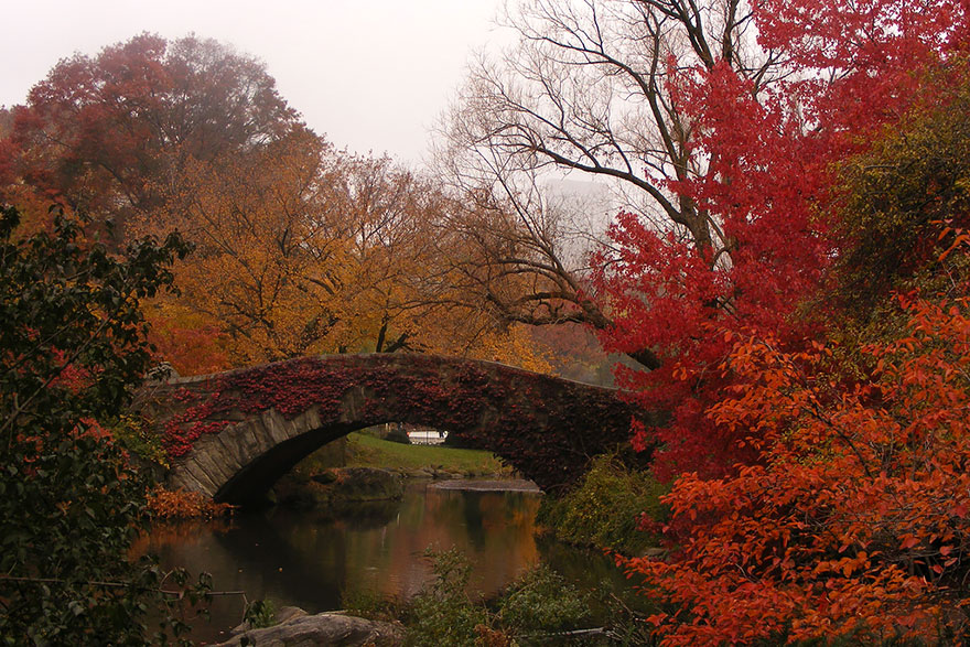 12 Before-And-After Photos Of Autumn's Beautiful Transformations