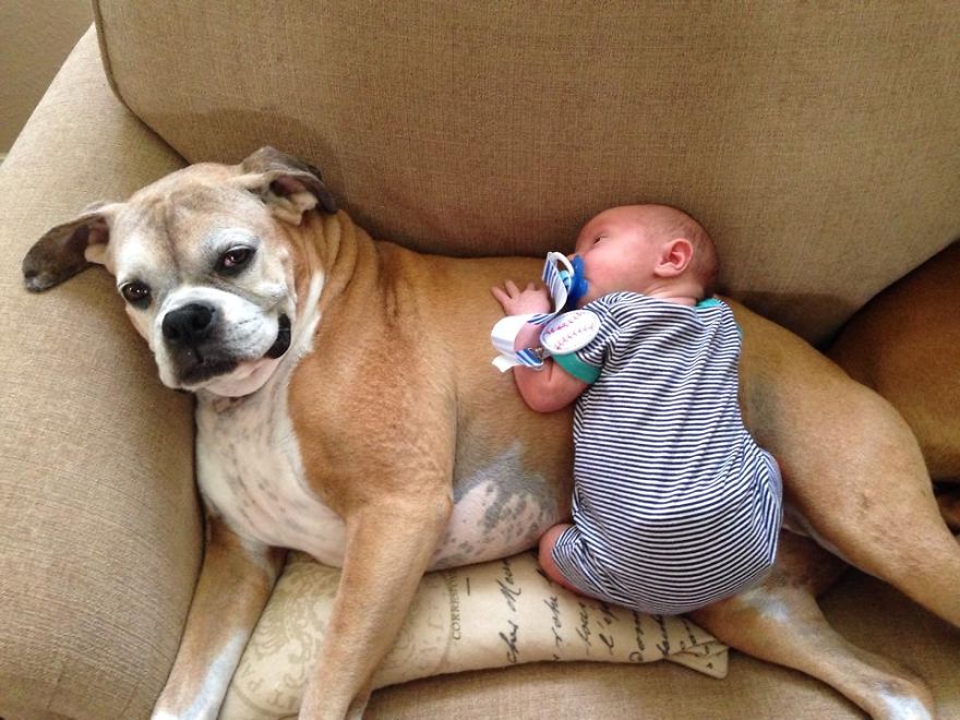Little Baby And Big Dog