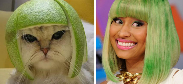 Pomelo Cat And Nicky Minaj
