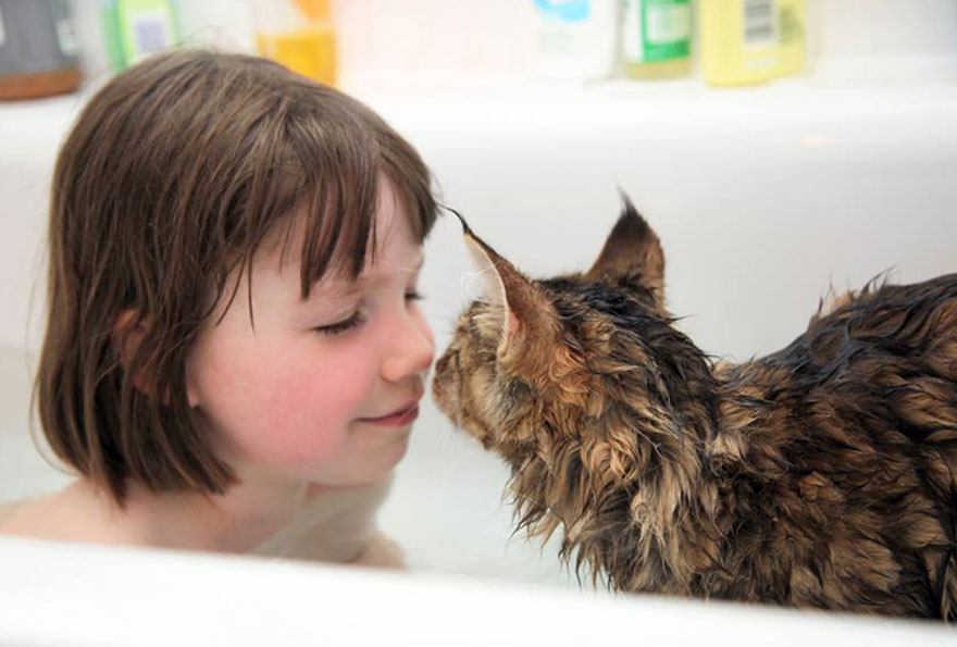Heartwarming Friendship Of A 5-Year-Old Girl With Autism And Her Therapy Cat