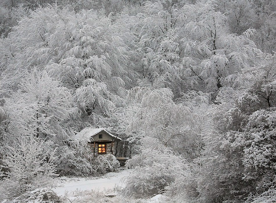 A Hut In Winter
