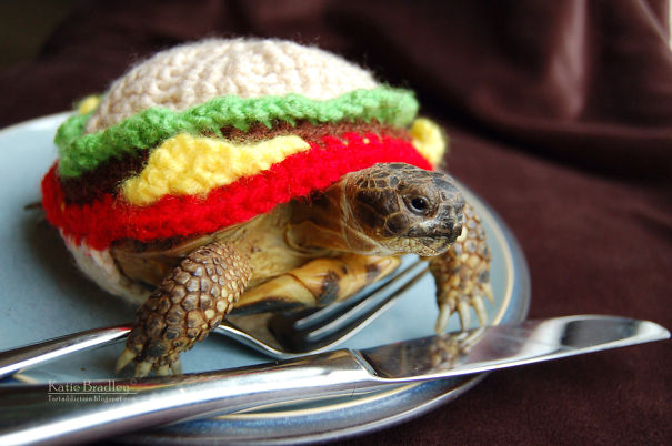 Cheeseburger Tortoise