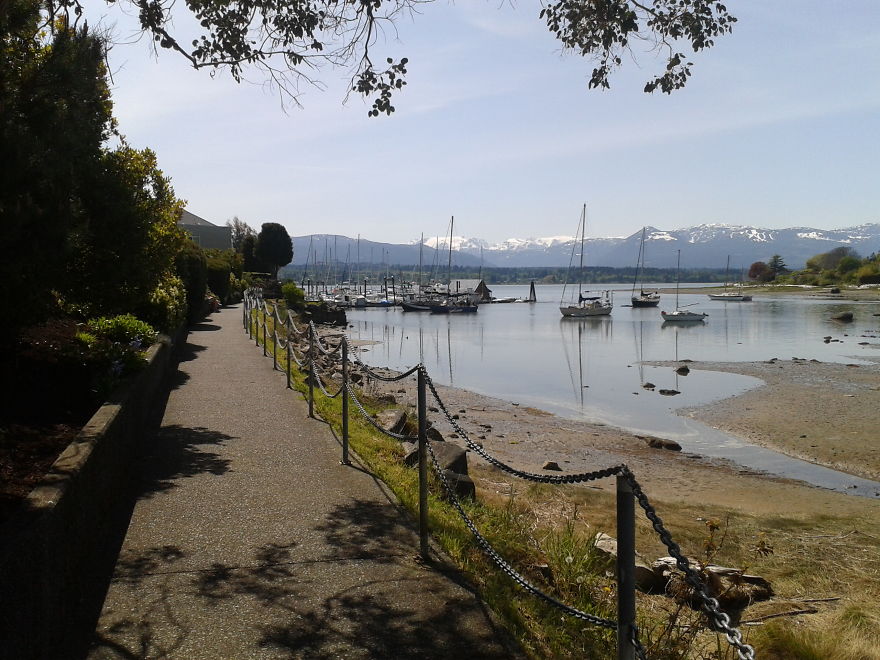 The Bay And The Mountains, Comox, Vancouver Island, B.c. 2012