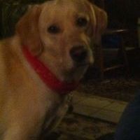 julie_a_mosher_1963 avatar