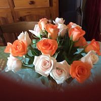 marianne_salome1 avatar