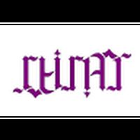 virajkarandikar avatar