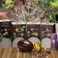 karen_hoffman_526438 avatar