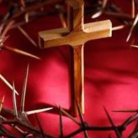 sandi_long_77 avatar