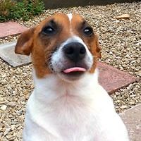 woody_johnson_50 avatar