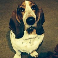 patricia_arnett_104 avatar