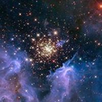 ann_labriola_1 avatar