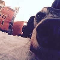 eira_braunlabossiere avatar