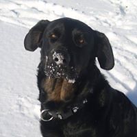 lassejr_kulessa avatar