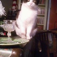 artworkbyimelda avatar