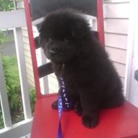 anne_jagodowski avatar