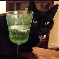 alexander_bordeaux_33 avatar