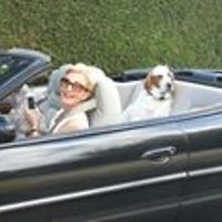 janet_holburn avatar