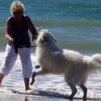 judith_bates_921 avatar