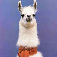 witthollensbe avatar