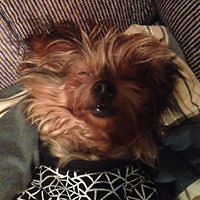 desiree_salomon_7 avatar