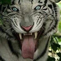 agyemang_emmanuel_75 avatar