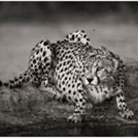 janai_burnettgooch avatar