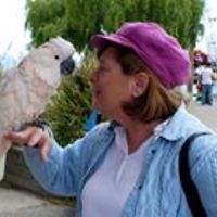 marjorie_k_wallace avatar